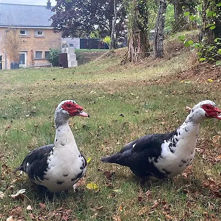 Le Moulin De Warnécourt Appartement *